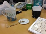 画像2: テスト商品 (2)