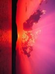画像4: 0116商品-5 (4)